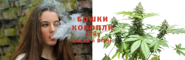 шишки Магадан