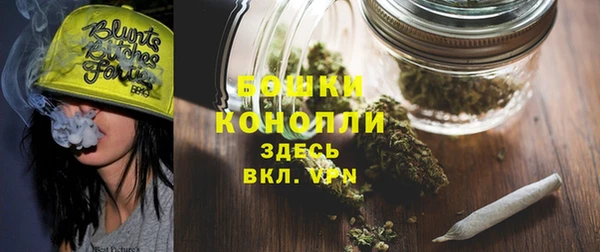 твердый Мегион