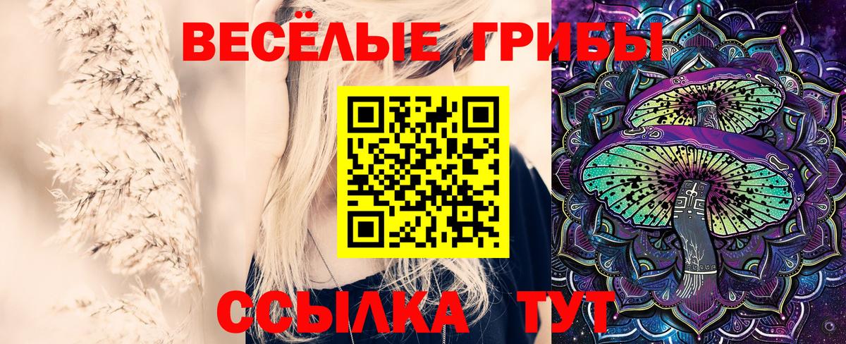 Псилоцибиновые грибы Cubensis  Вход с VPN  Мариинск 