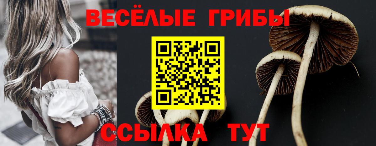 Псилоцибиновые грибы мицелий  Галлюциногенные грибы ЛСД  Мариинск 